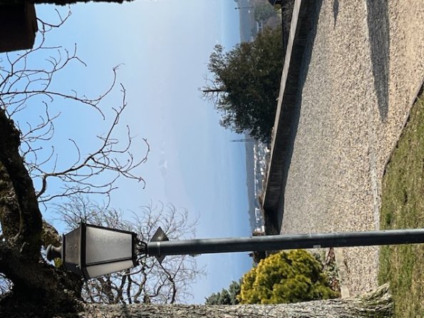 D3845FB5-49E1-41E7-A057-AB7BB568B77E